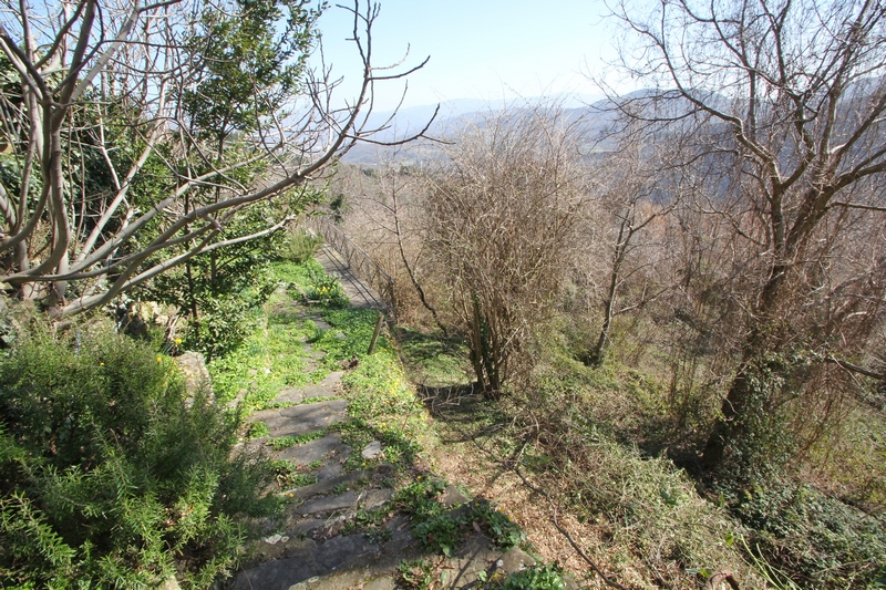 Restored stone house in a antique hamlet between Florence and Arezzo