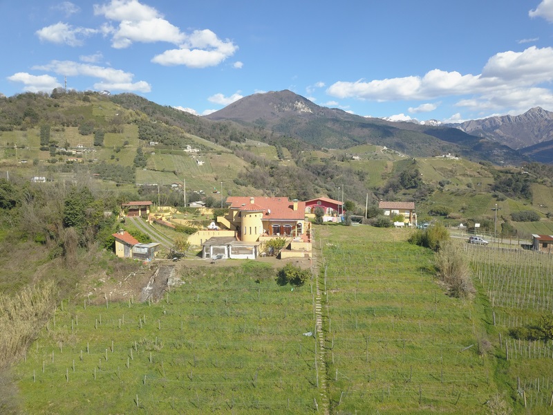 Villa mit Weinberg und Meerblick