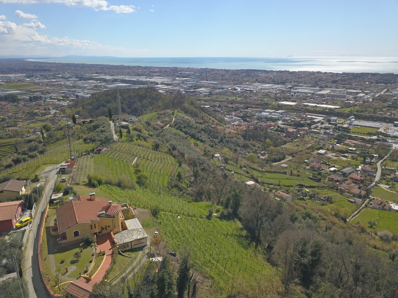 Villa in Versilia with sea view