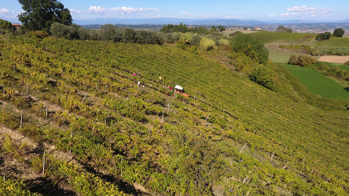 Agriturismus v Toskánsku na prodej