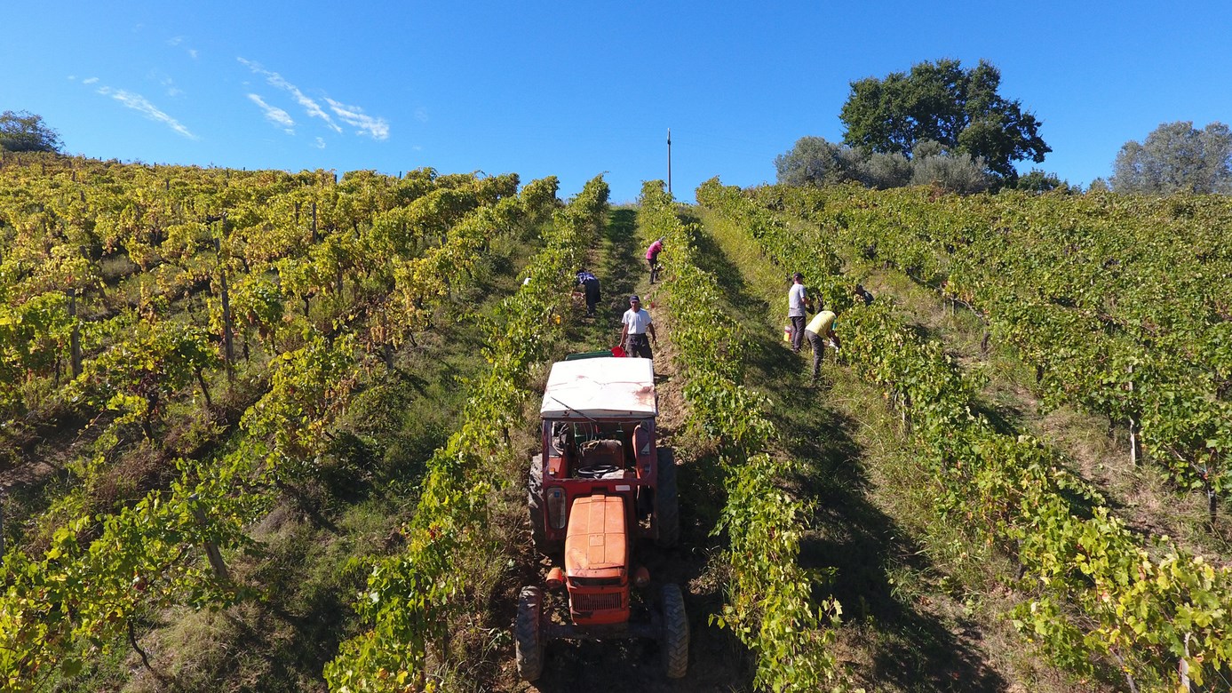 Agriturismus v Toskánsku na prodej