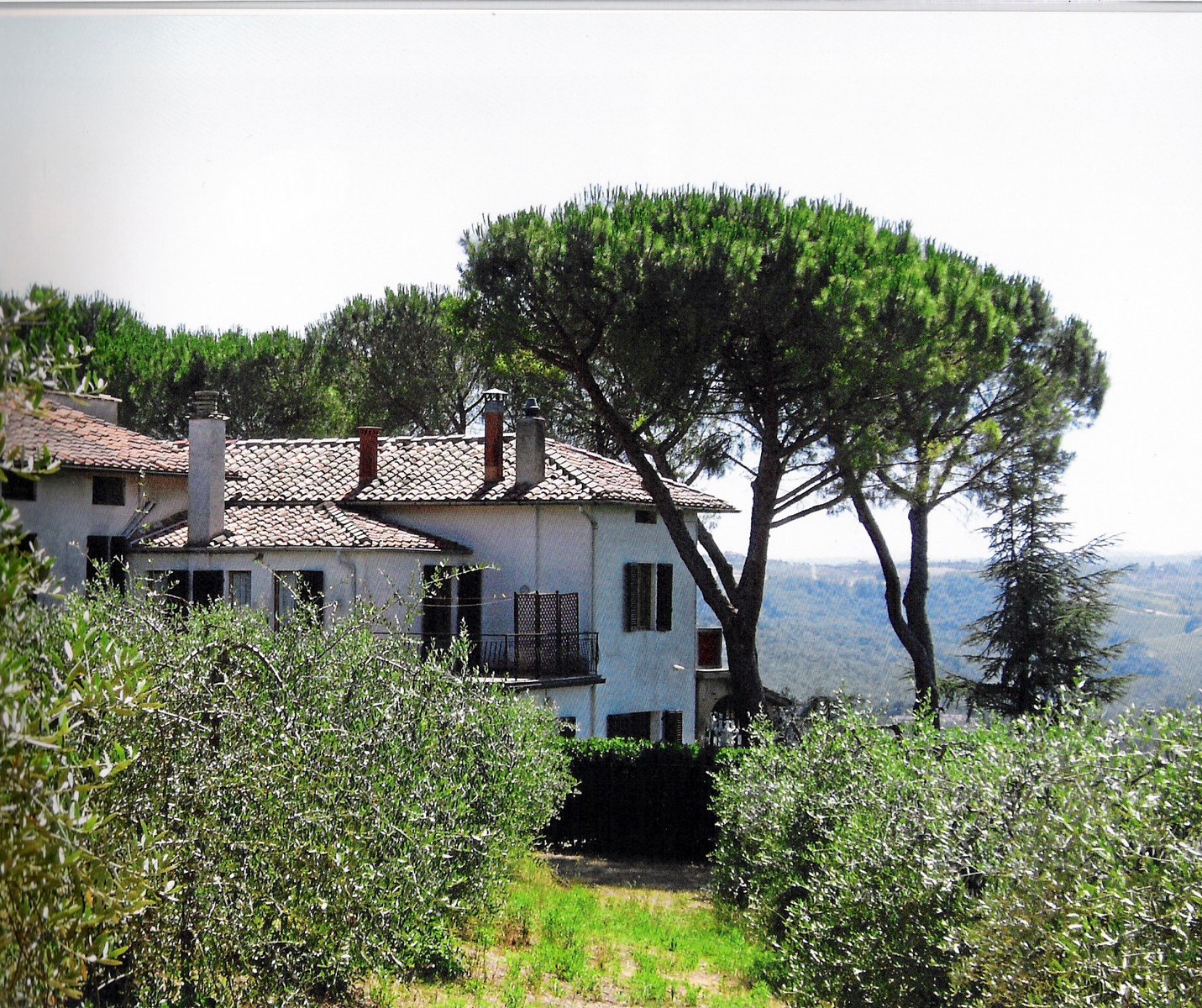 Exclusive Villa with Vineyard & Olive Grove – Near San Gimignano