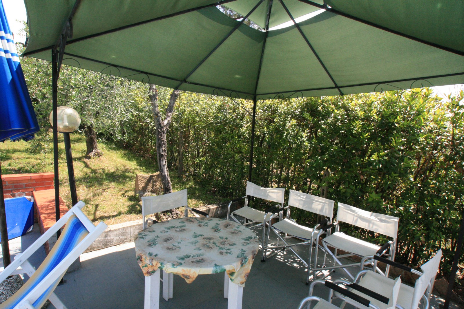 Exclusive Villa with Vineyard & Olive Grove – Near San Gimignano