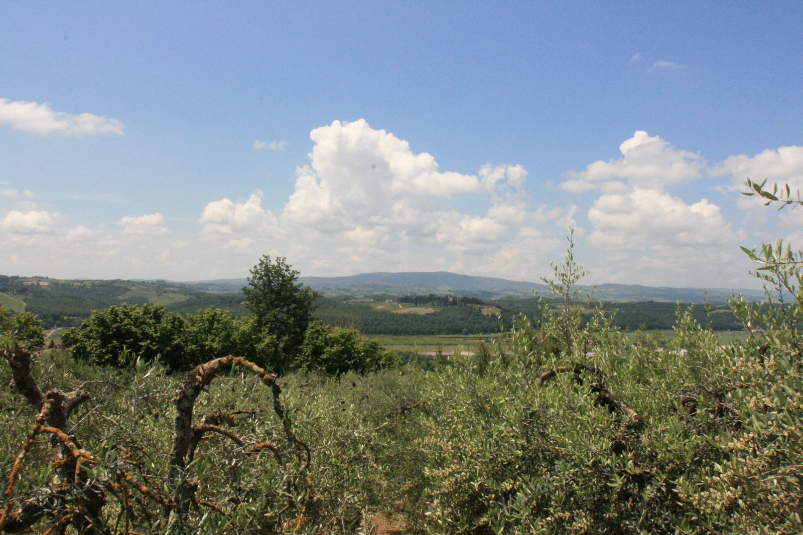 Agriturismus s vilou a vinohradem