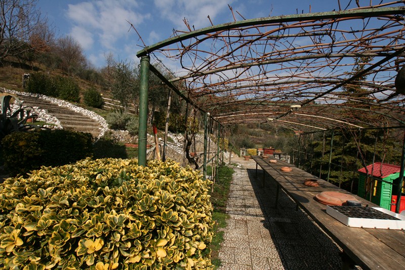 B&B or Private Villa with Restaurant Potential – Filettole, Tuscany