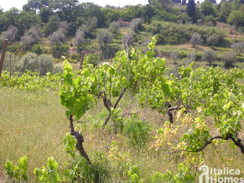 Motivo in piu per comprare una proprieta in Toscana