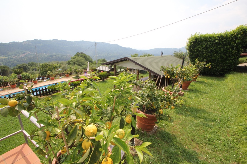 Casale ristrutturato vicino Camaiore con vista mare e piscina