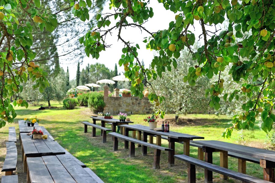 Agritourism in center of Tuscany