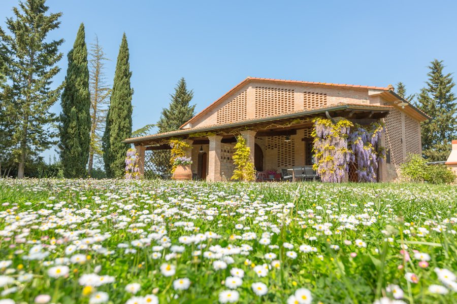 In centro della Toscaba agriturismo da vendere