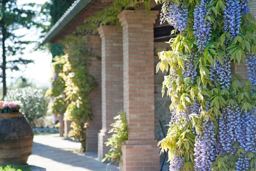 Authentic Tuscan Agritourism & B&B – Between Pisa, Volterra & San Gimignano