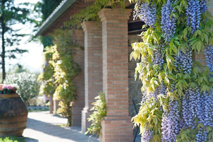 In centro della Toscaba agriturismo da vendere