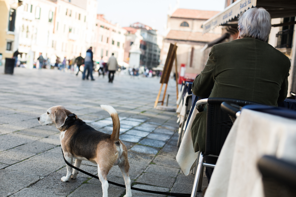 Italy's pick-me-up - espresso