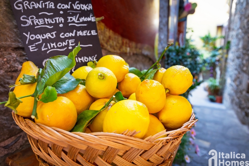 Ein Dichter verliebt sich in Italien: Goethes Reise