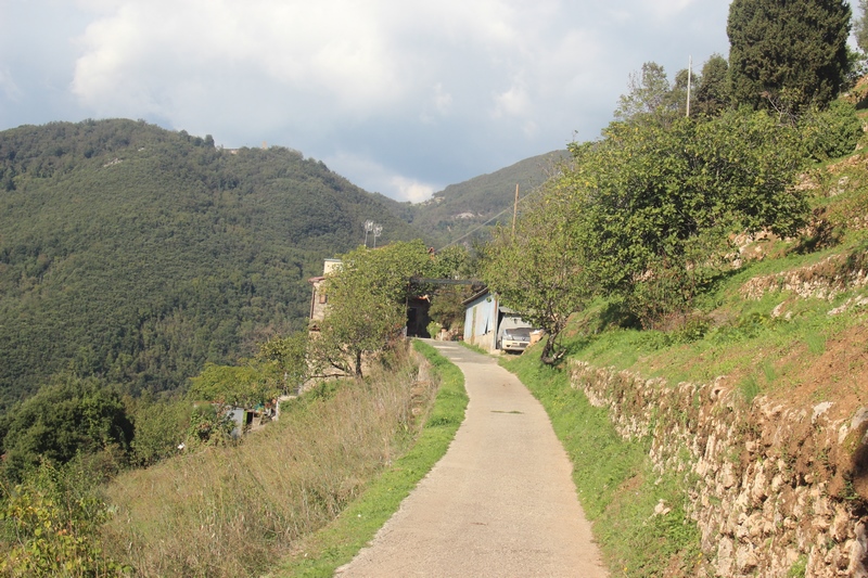 House near La Culla