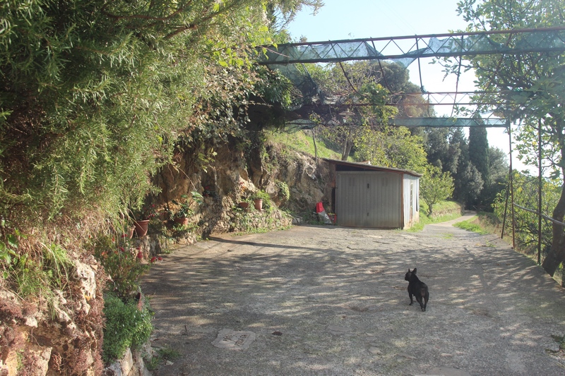 House near La Culla