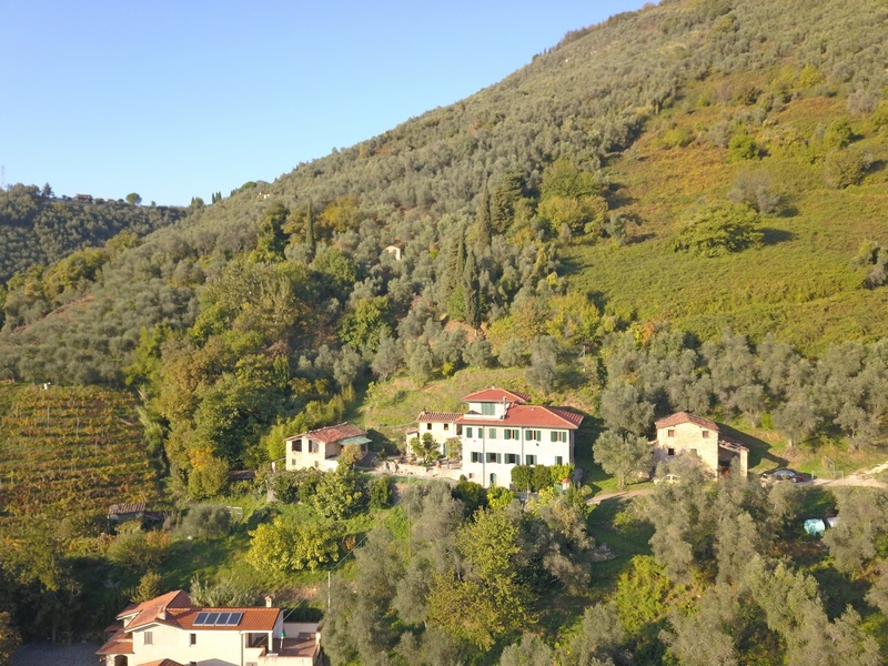 Large stone houses group in Versilia for Sale