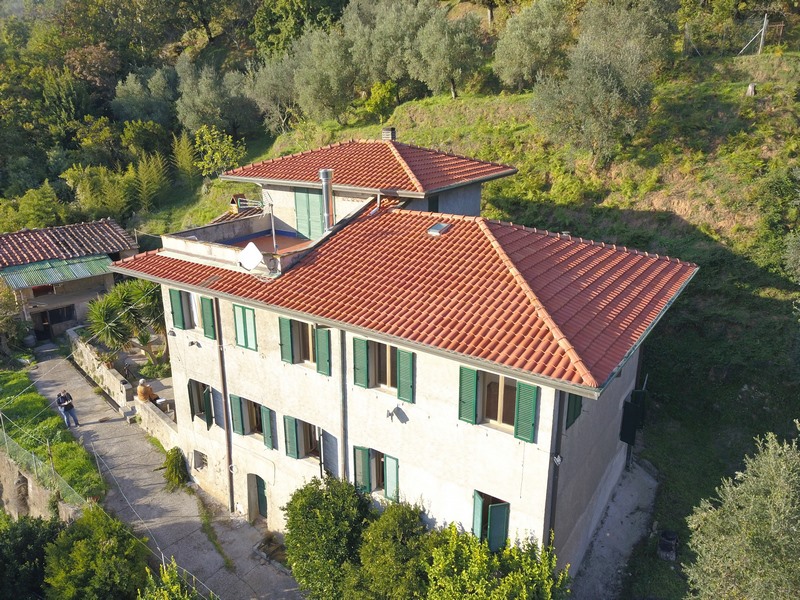 Gruppo di rustici in Versilia