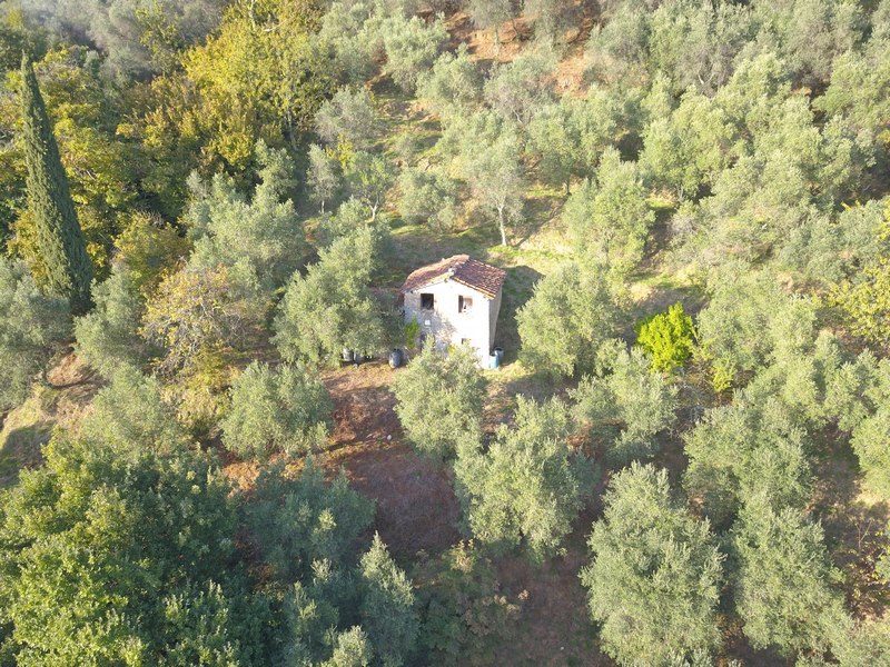 Large stone houses group in Versilia for Sale