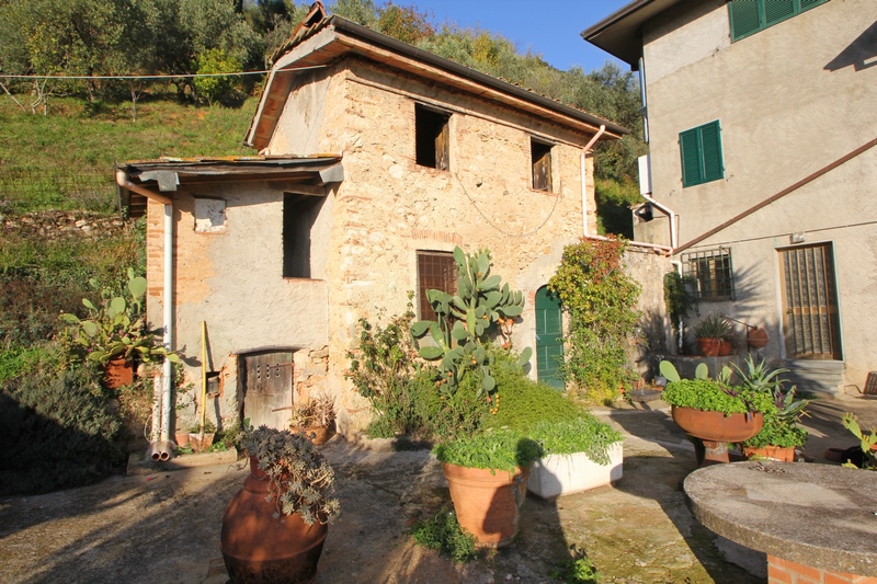 Large stone houses group in Versilia for Sale