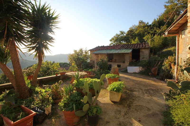 Large stone houses group in Versilia for Sale