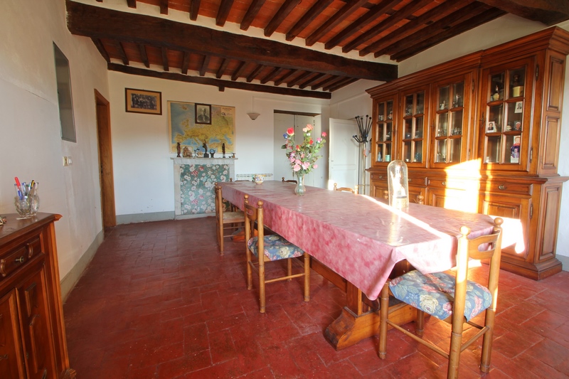 Large stone houses group in Versilia for Sale