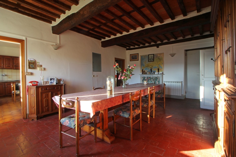 Large stone houses group in Versilia for Sale