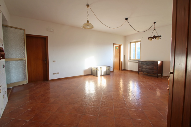 Large stone houses group in Versilia for Sale