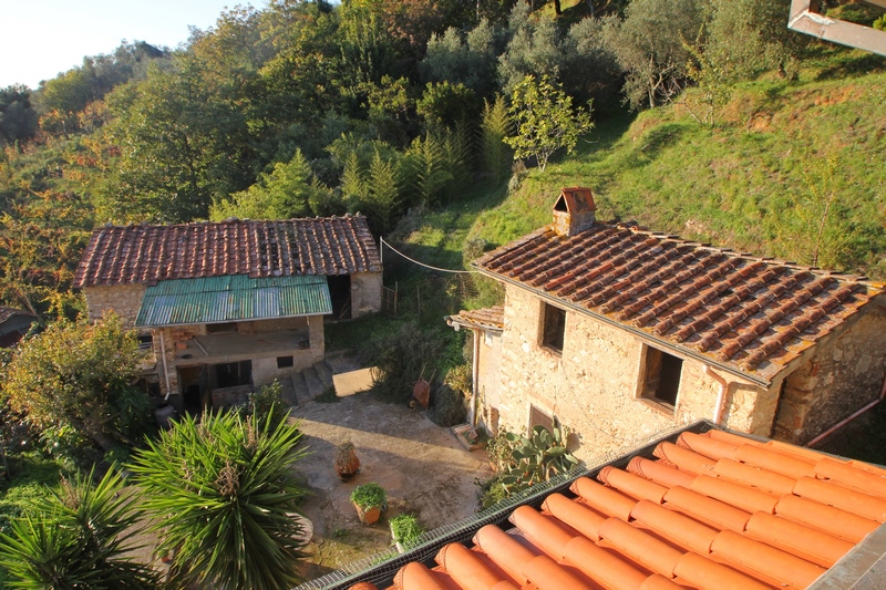 Gruppo di rustici in Versilia