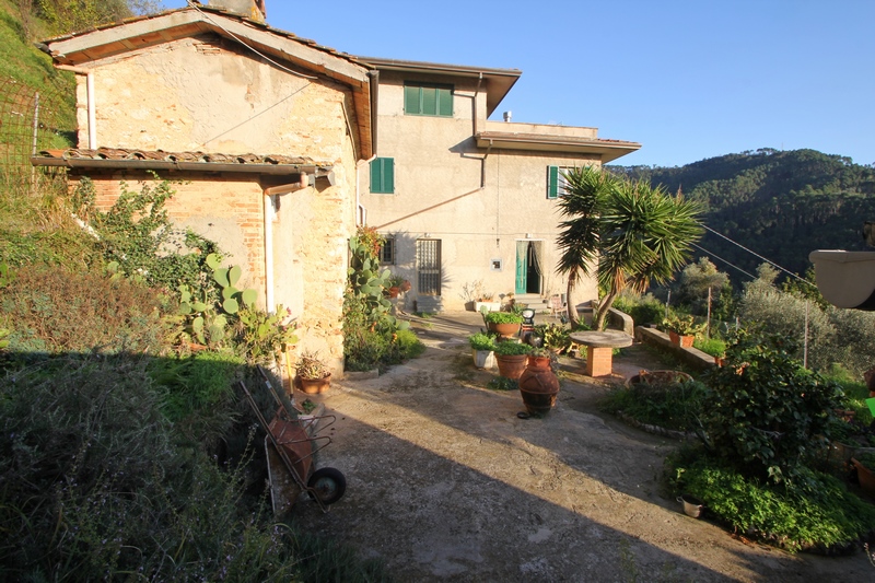 Large stone houses group in Versilia for Sale