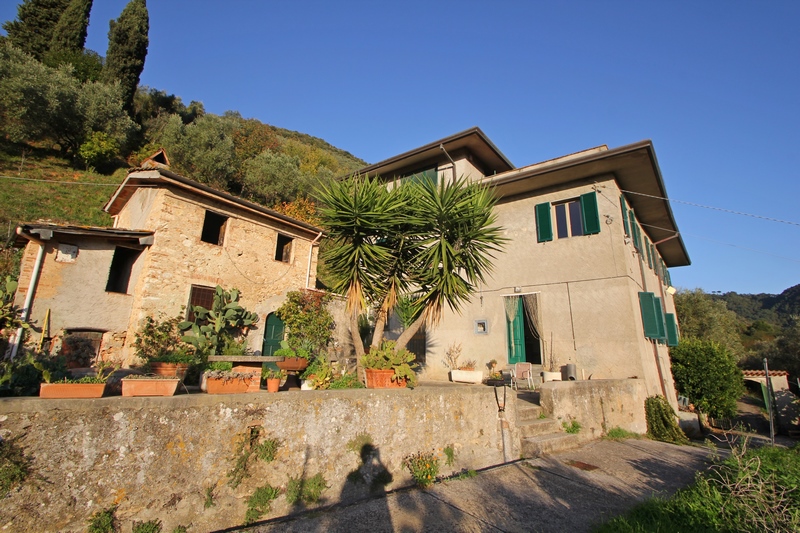 Large stone houses group in Versilia for Sale