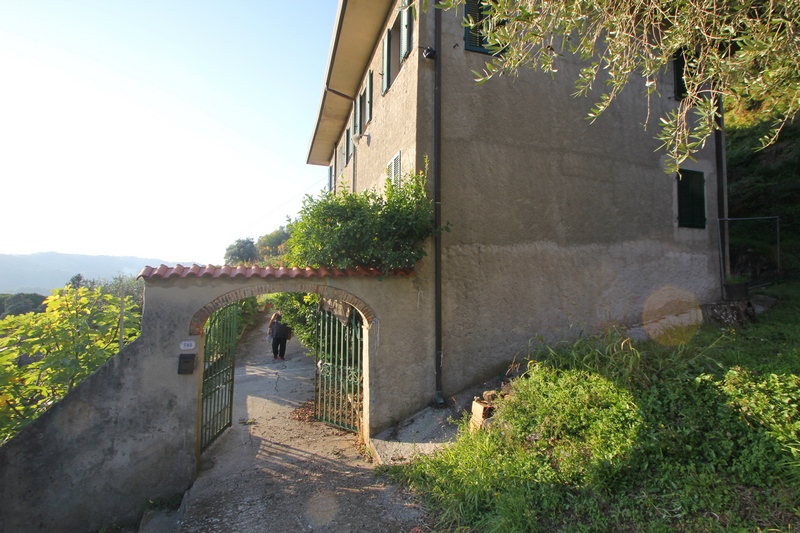 Gruppo di rustici in Versilia