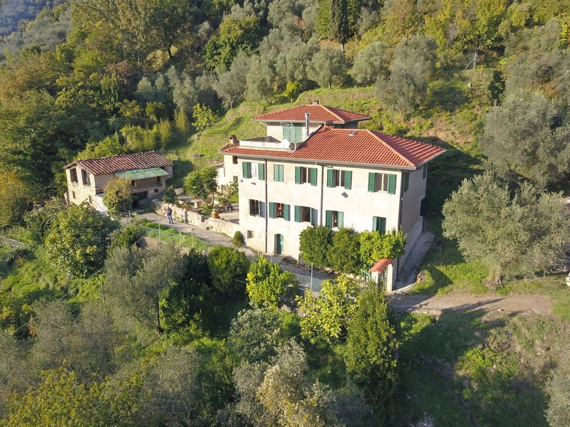 Large stone houses group in Versilia for Sale