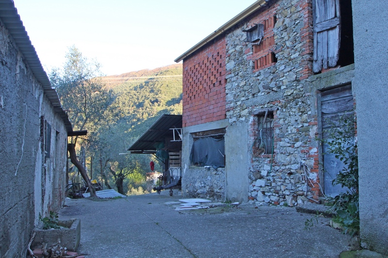 Farmhouse - Large Estate Near the Sea – Tuscany/Liguria Border