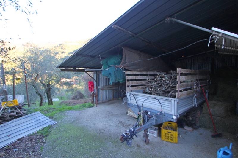 Farmhouse - Large Estate Near the Sea – Tuscany/Liguria Border