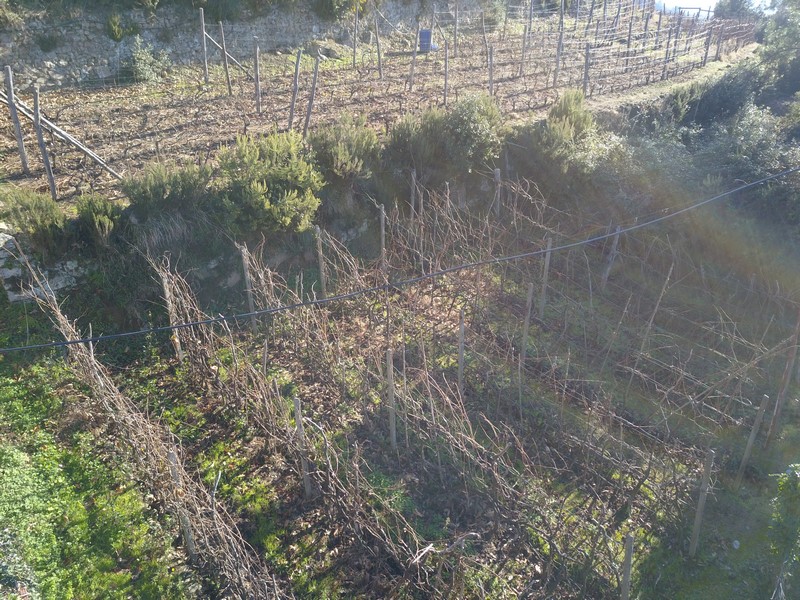 Rudere da riffare a 5 Terre