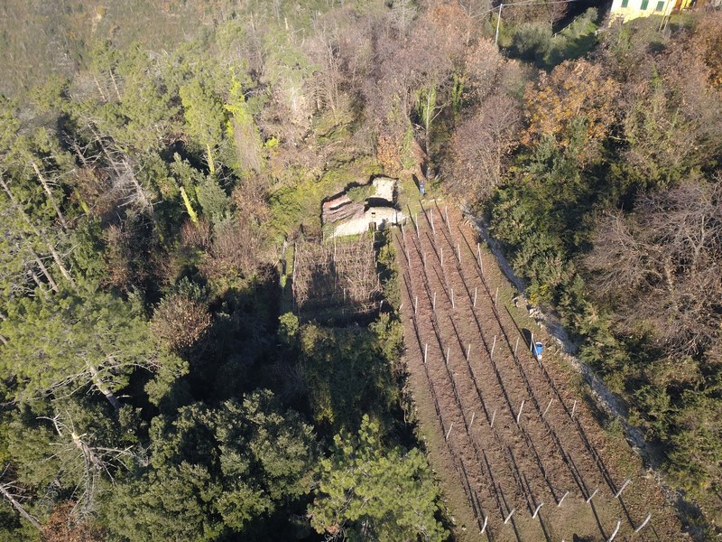 Rudere da riffare a 5 Terre