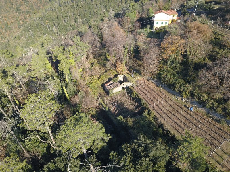 Rudere da riffare a 5 Terre