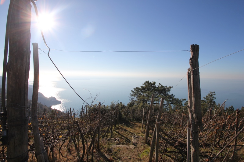 Rudere da riffare a 5 Terre