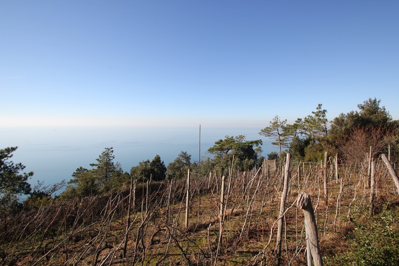 Rudere da riffare a 5 Terre