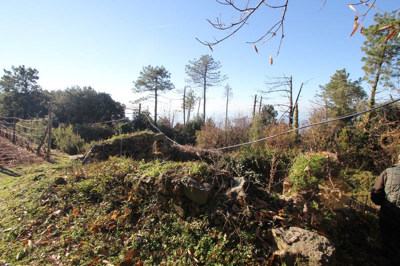 Rudere da riffare a 5 Terre