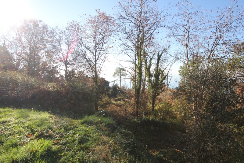 Rudere da riffare a 5 Terre