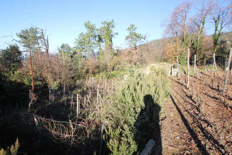 Rudere da riffare a 5 Terre