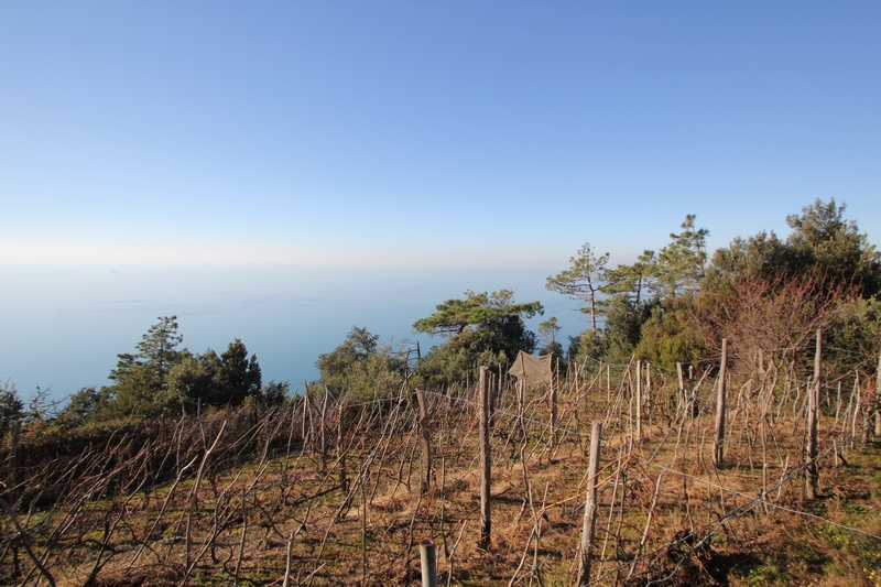 Rudere da riffare a 5 Terre