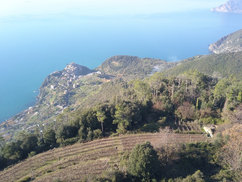 Rustico-Ruine mit Meerblick 5 Terre