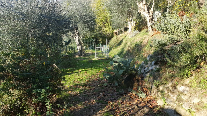 Doppelhaushälfte in Massa mit Meerblick