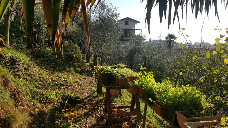 Casa con vista mare a Massa