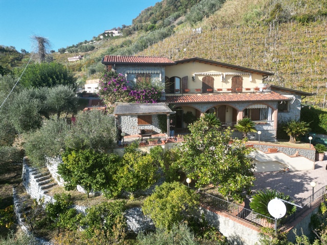 Tuscan Villa with Vineyard, Pool & Sea View in Candia