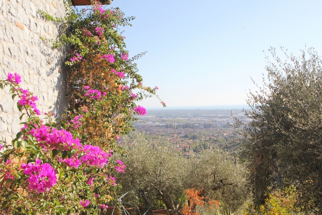 Villa in der Toskana mit Meerblick und eigenem Weinberg