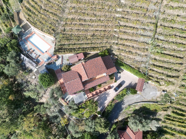 Vila v Toskánsku s výhledem na moře a vlastní vinicí