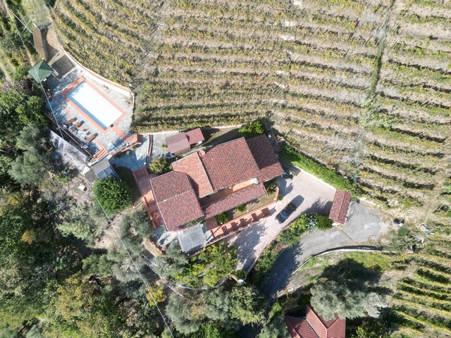 Villa in Toscana con vista sul mare e vigneto di proprietà